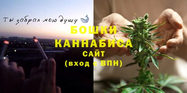 молекула духа Магас
