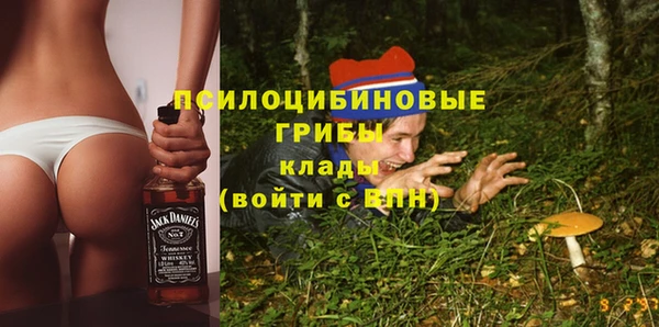 ПСИЛОЦИБИНОВЫЕ ГРИБЫ Майский