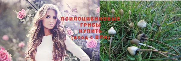 молекула духа Магадан
