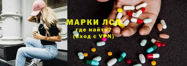 молекула духа Магадан
