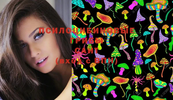 молекула духа Магас