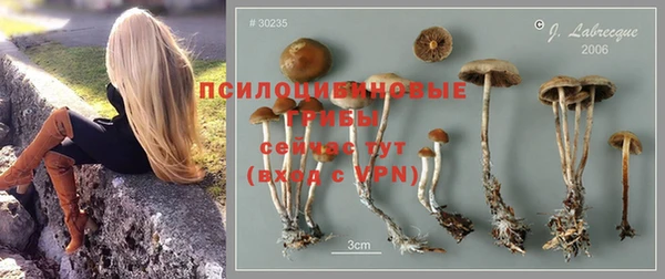ПСИЛОЦИБИНОВЫЕ ГРИБЫ Майский